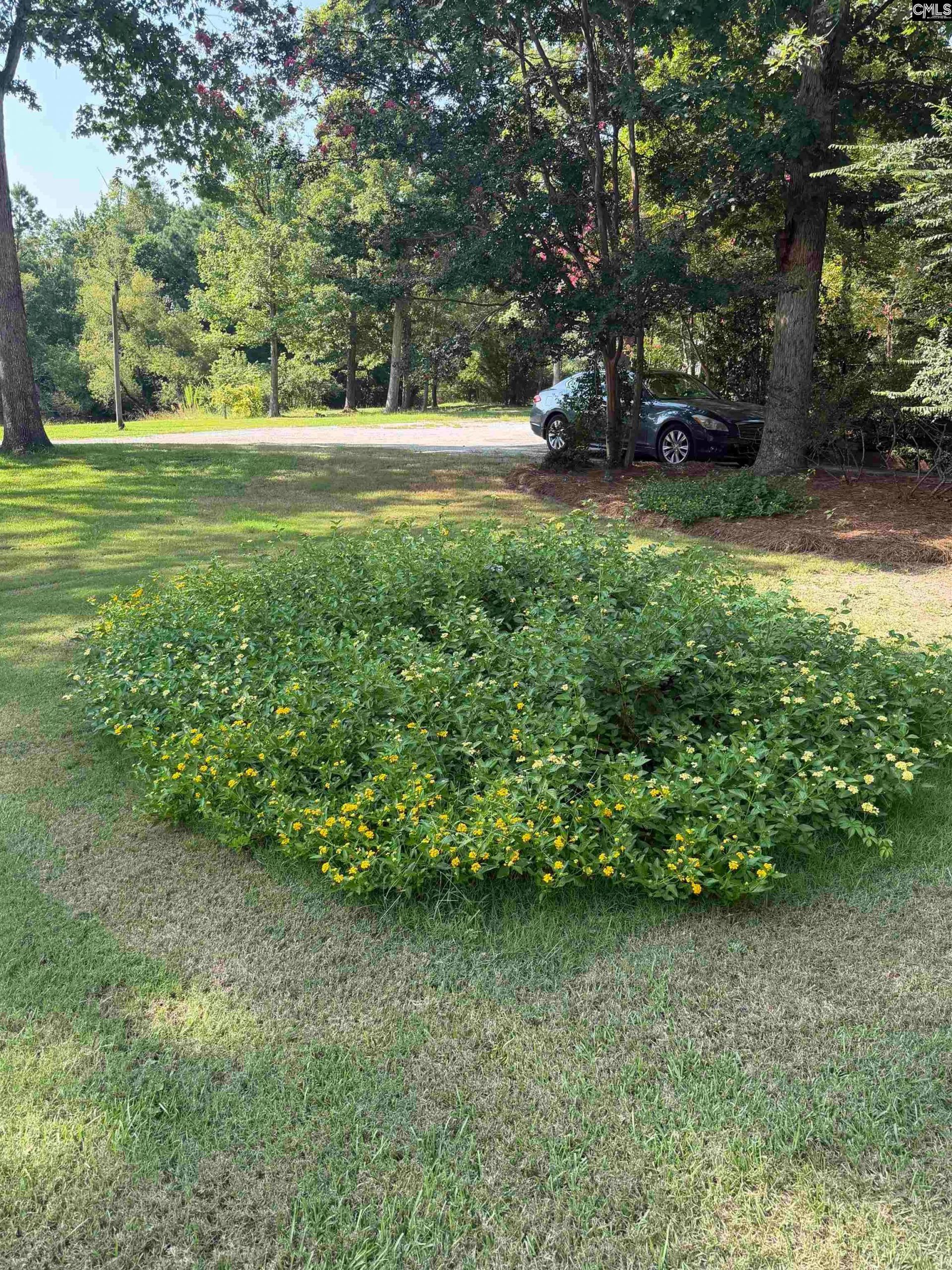 138 Rice Creek Lane Photo 24