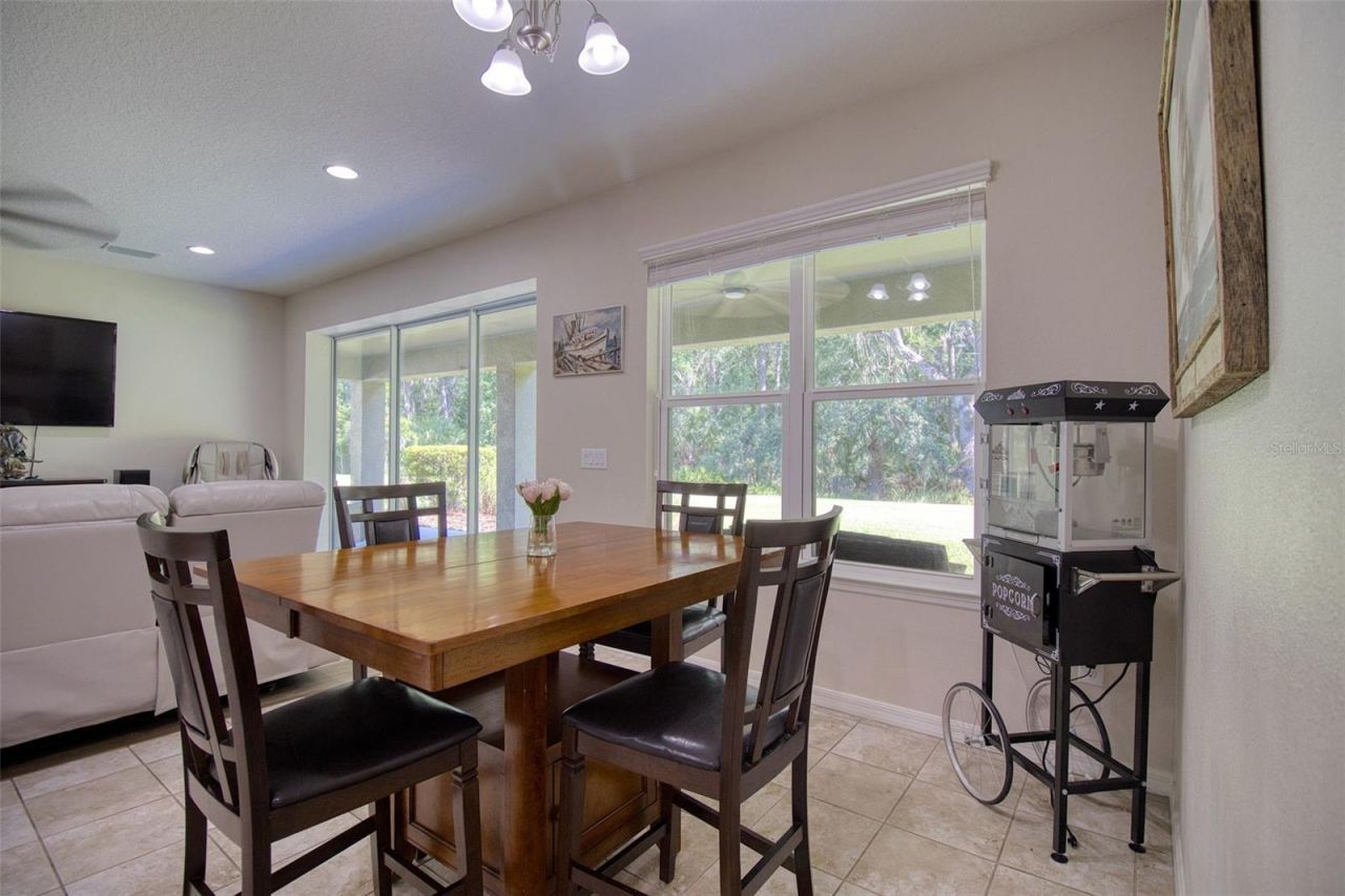 26888 Fiddlewood Loop, Wesley Chapel, FL 33544 Photo