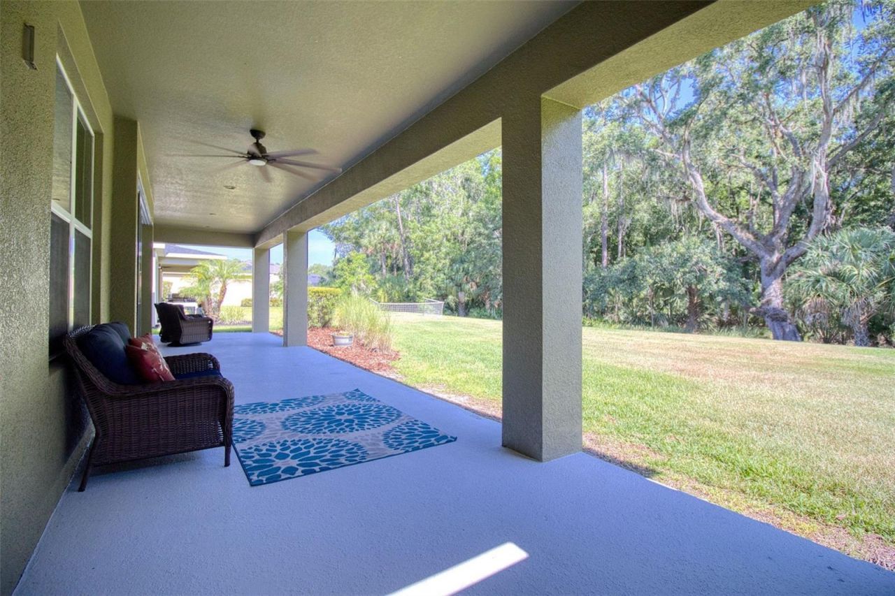 26888 Fiddlewood Loop, Wesley Chapel, FL 33544 Photo