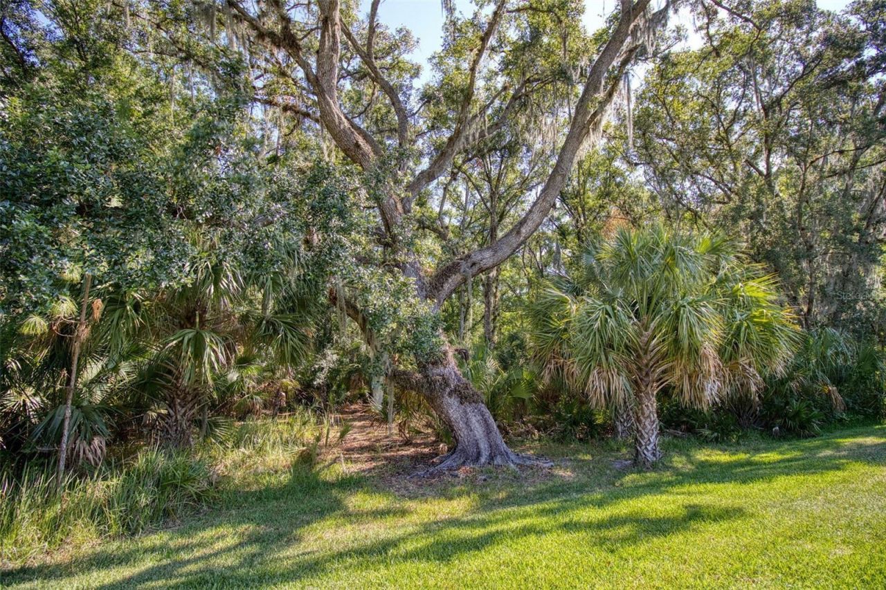 26888 Fiddlewood Loop, Wesley Chapel, FL 33544 Photo