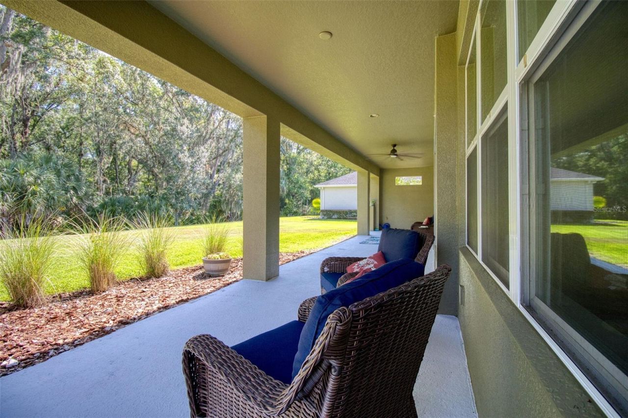 26888 Fiddlewood Loop, Wesley Chapel, FL 33544 Photo