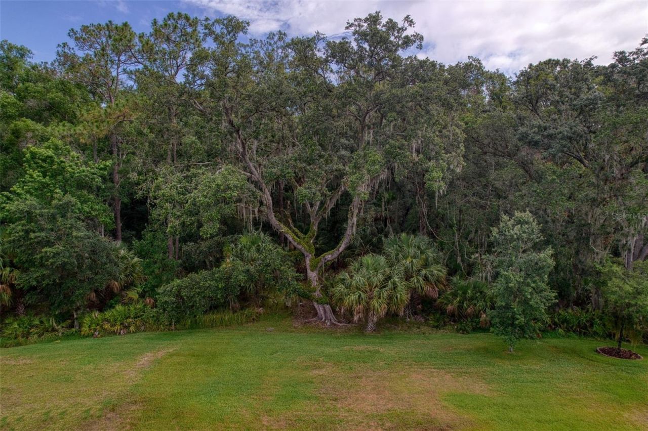 26888 Fiddlewood Loop, Wesley Chapel, FL 33544 Photo