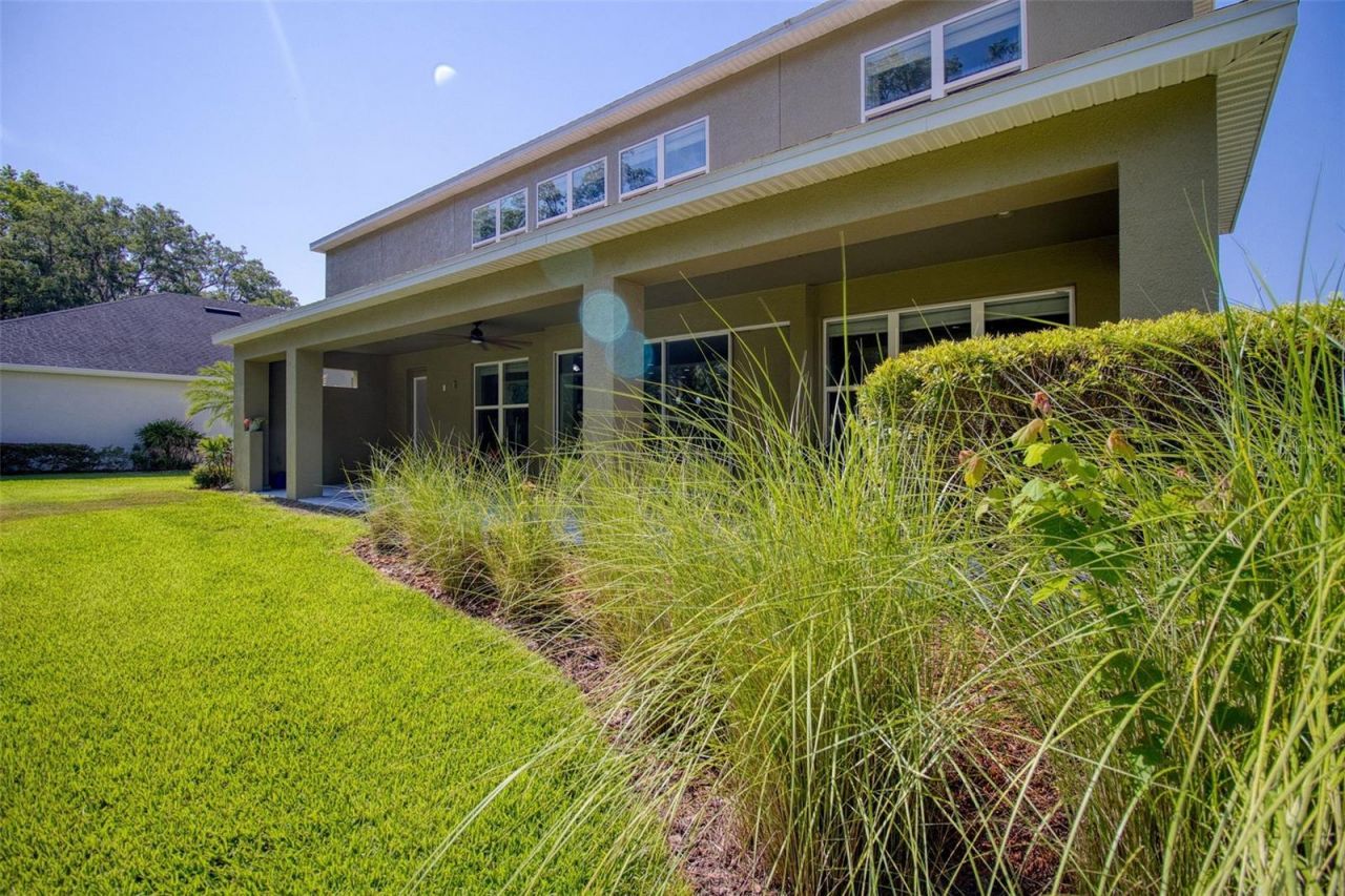 26888 Fiddlewood Loop, Wesley Chapel, FL 33544 Photo