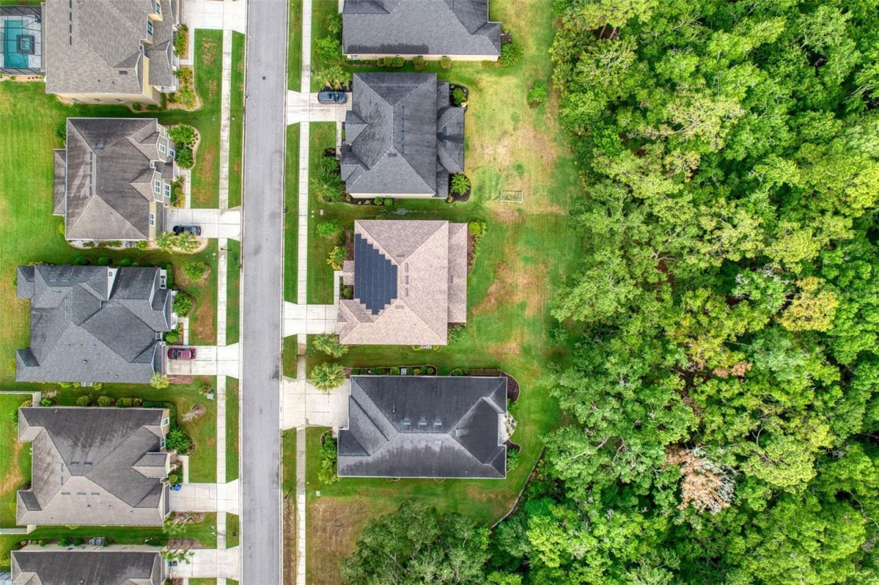 26888 Fiddlewood Loop, Wesley Chapel, FL 33544 Photo