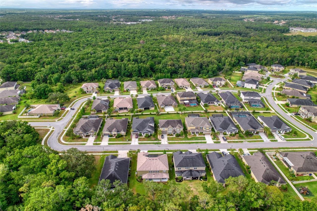 26888 Fiddlewood Loop, Wesley Chapel, FL 33544 Photo