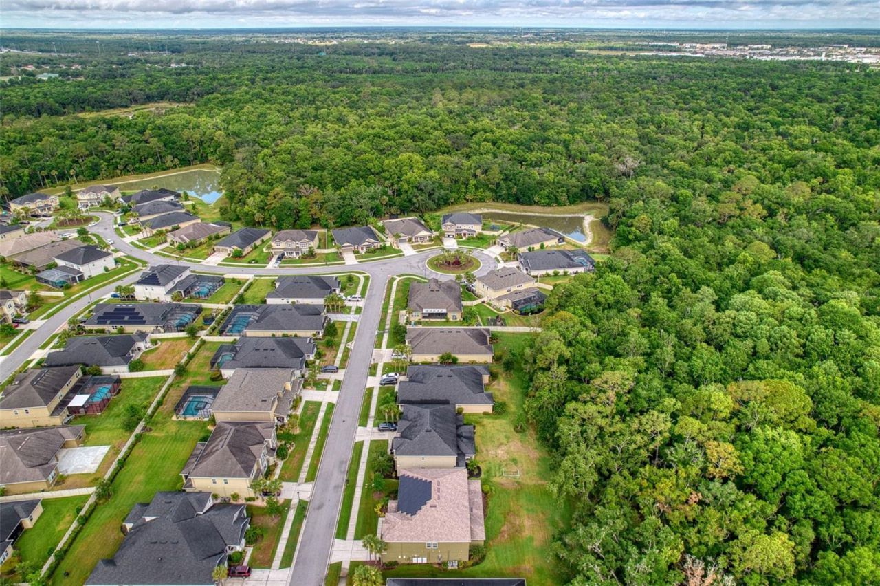 26888 Fiddlewood Loop, Wesley Chapel, FL 33544 Photo