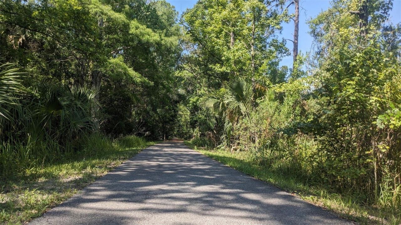 26888 Fiddlewood Loop, Wesley Chapel, FL 33544 Photo
