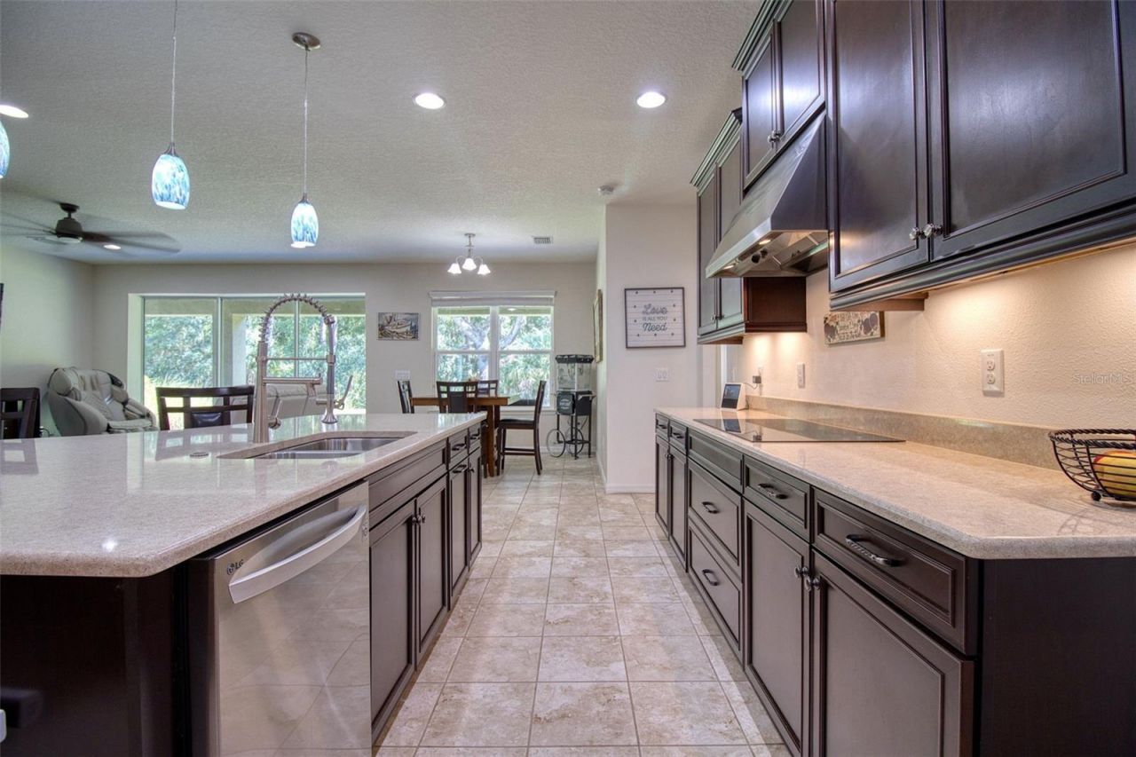 26888 Fiddlewood Loop, Wesley Chapel, FL 33544 Photo
