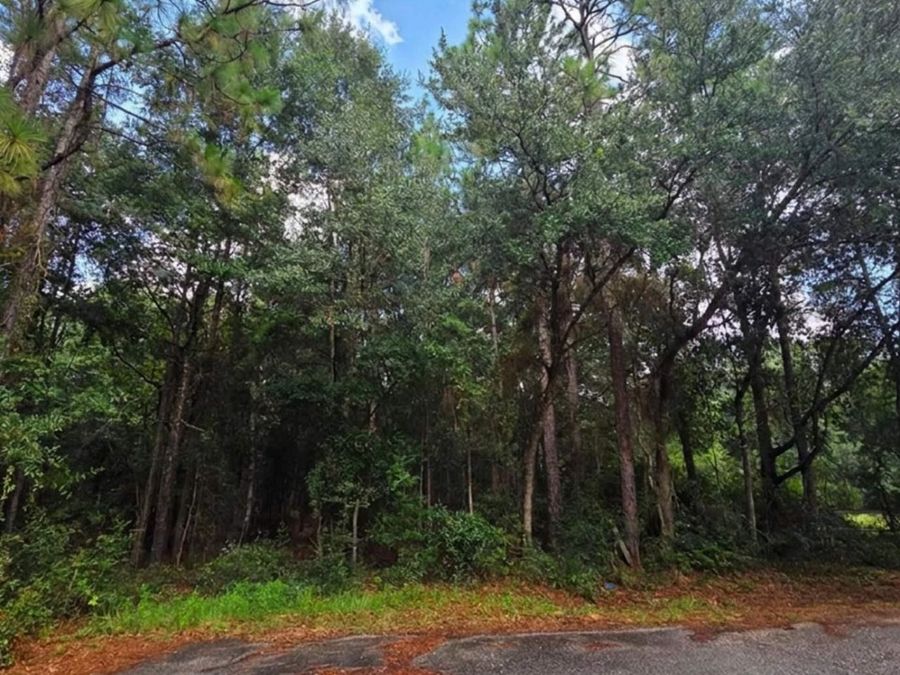 Property Image 8