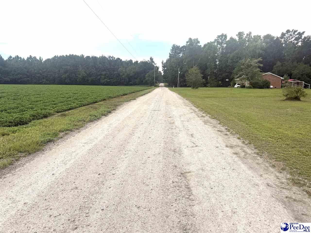 Plantation Rd Photo 8