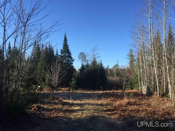TBD Off Co Rd 478 Road, Ely Twp, MI 49849