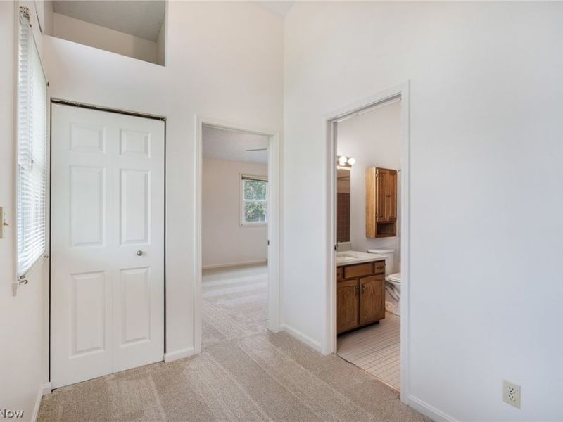 3815 Mercedes Place, Canfield, OH 44406 Photo 18
