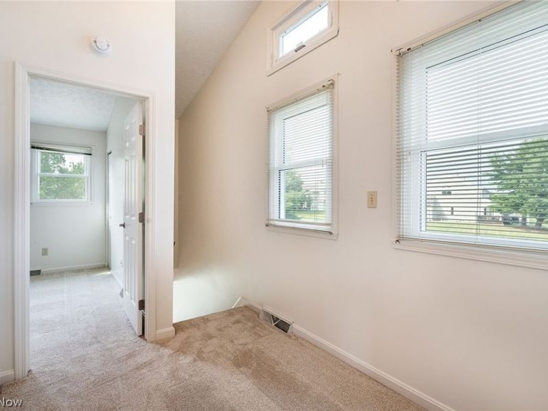 3815 Mercedes Place, Canfield, OH 44406 Photo 25