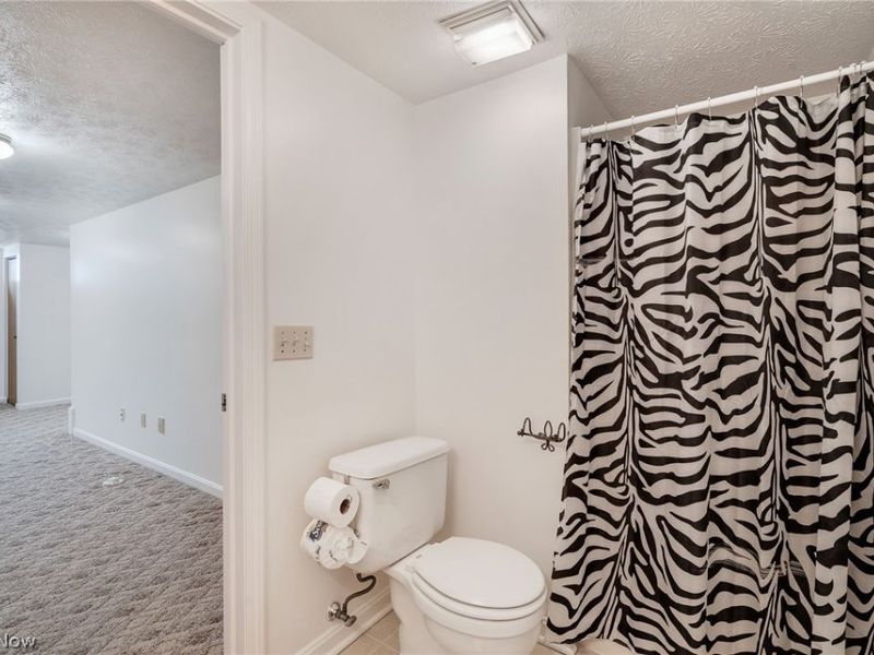3815 Mercedes Place, Canfield, OH 44406 Photo 30