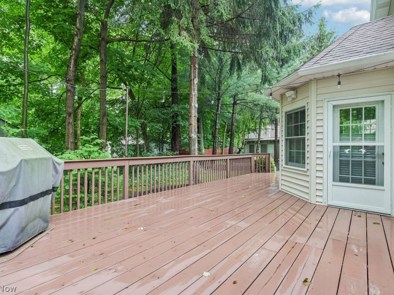 30815 Silktree Lane, Westlake, OH 44145 Photo 40
