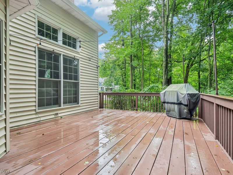 30815 Silktree Lane, Westlake, OH 44145 Photo 41