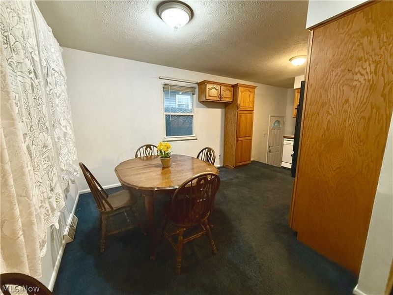 386 Fulmer Avenue, Akron, OH 44312 Photo 10