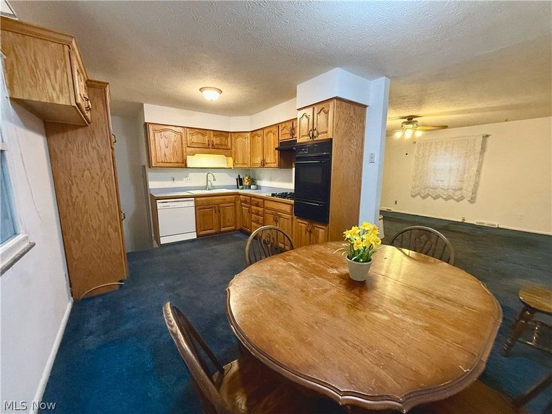 386 Fulmer Avenue, Akron, OH 44312 Photo 3