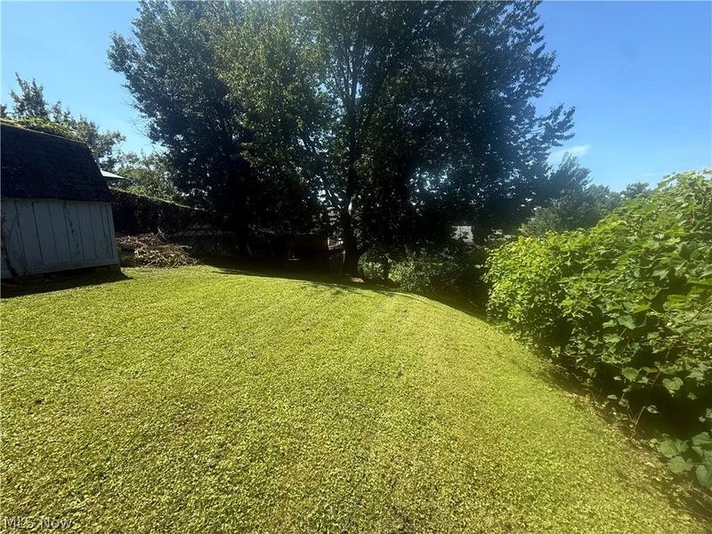 386 Fulmer Avenue, Akron, OH 44312 Photo 5
