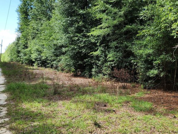 0 Martin Way, Waynesboro, GA 30830