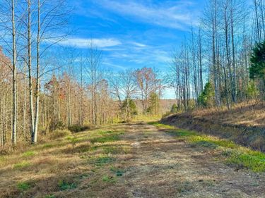 9108 KY-501 , Unit Tract 2-C, Liberty, KY 42539