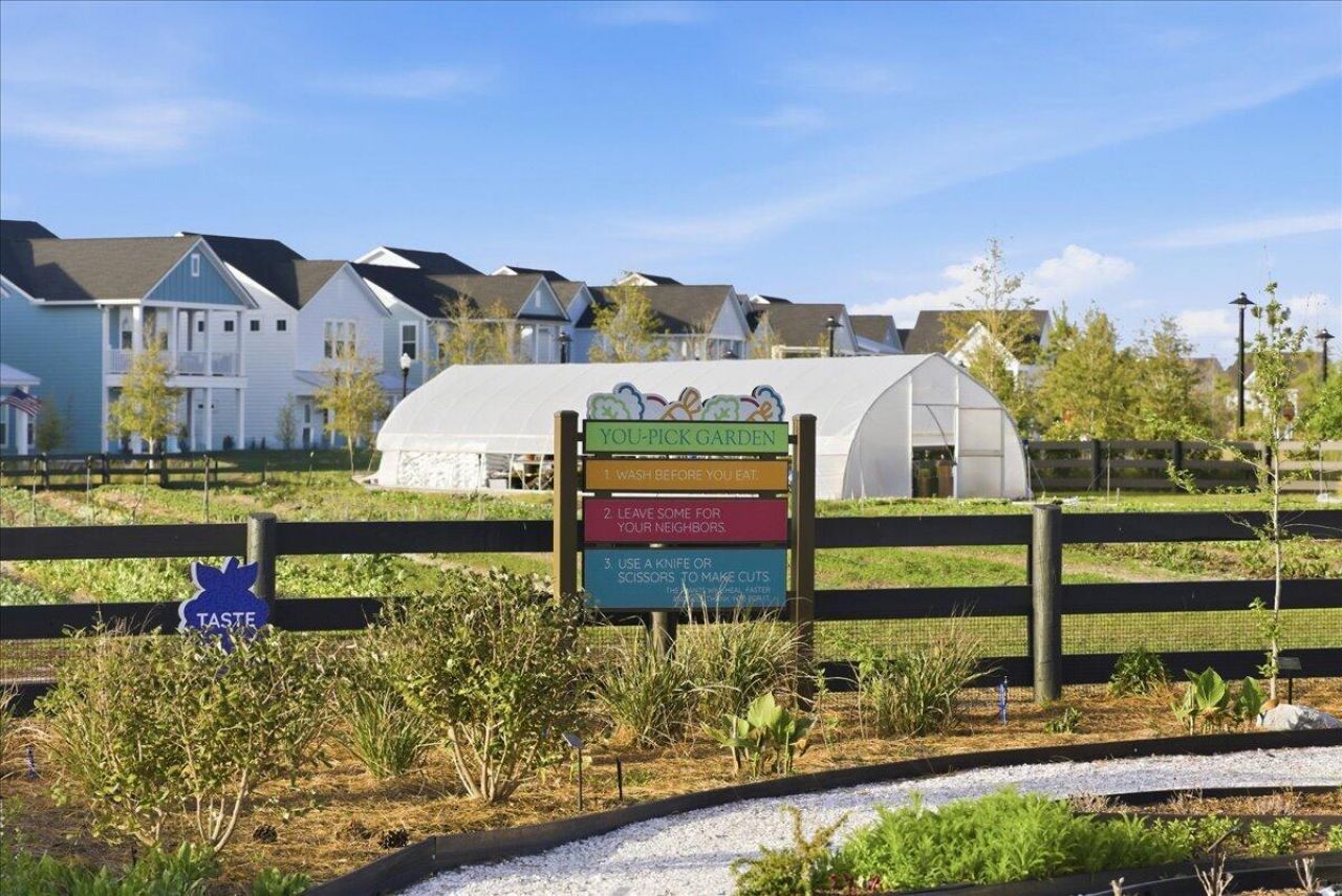 158 Hewitt Street Photo 69