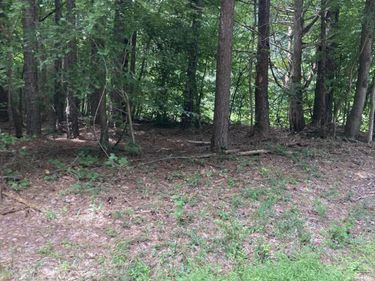 1614 Jones Ferry Road, Chapel Hill, NC 27516