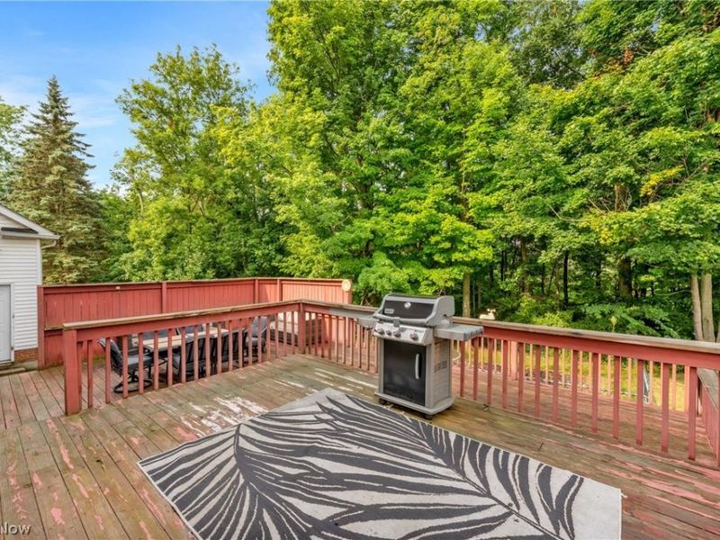 1010 Partridge Drive, Wadsworth, OH 44281 Photo 6