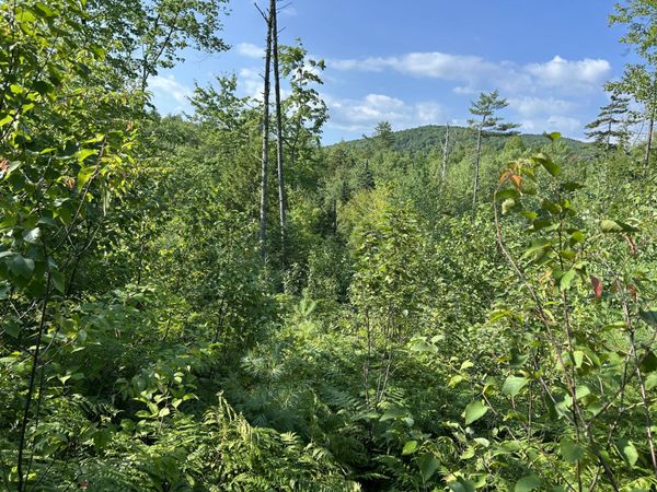 M247L4 Route 232 , Rumford, ME 04276