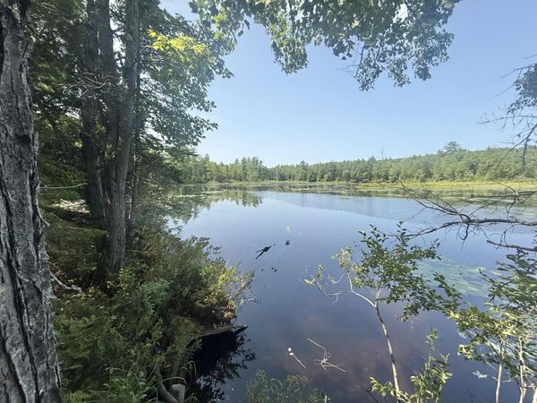 51 Dearborn Hill , Bridgton, ME 04009
