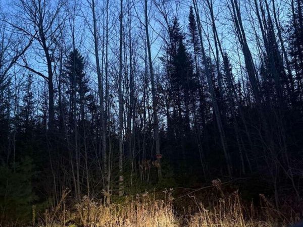 Lot 3 Ariel Street , Lincoln, ME 04457