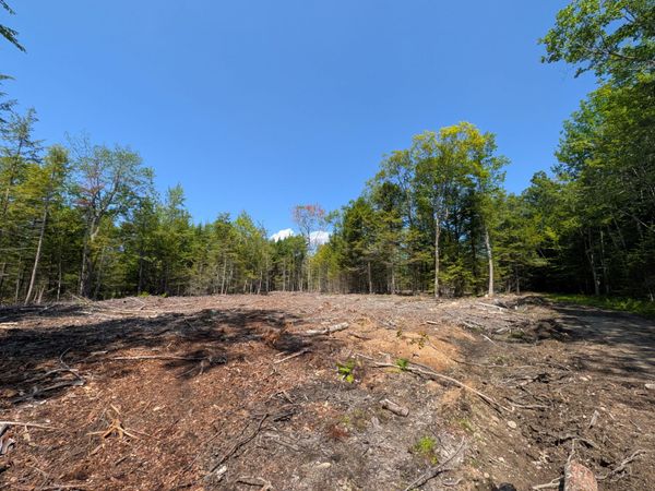 Lot 9A Maple Ridge Road , Harrison, ME 04040