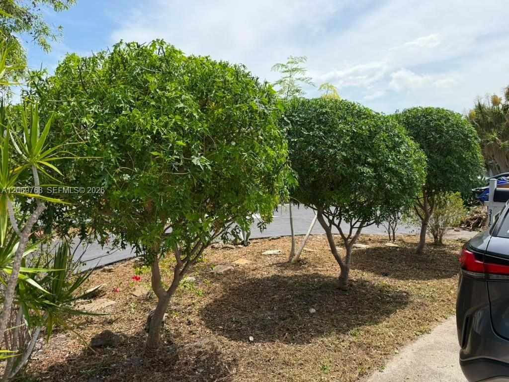 3160 NW 63rd St, Fort Lauderdale, FL 33309 Photo