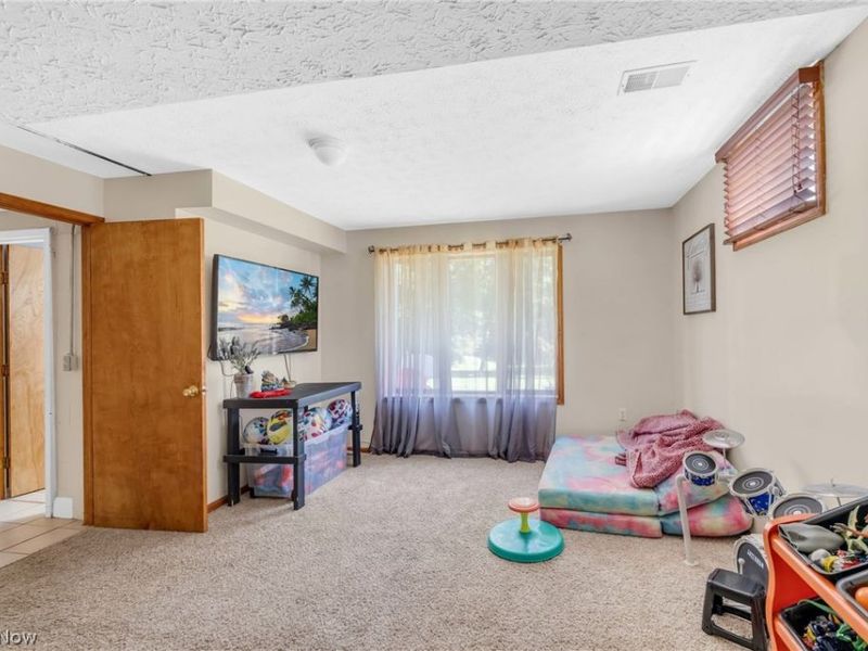 1159 E Robinson Avenue, Barberton, OH 44203 Photo 33