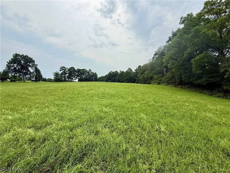 Cinder Road, Bergholz, OH 43908 Photo 2
