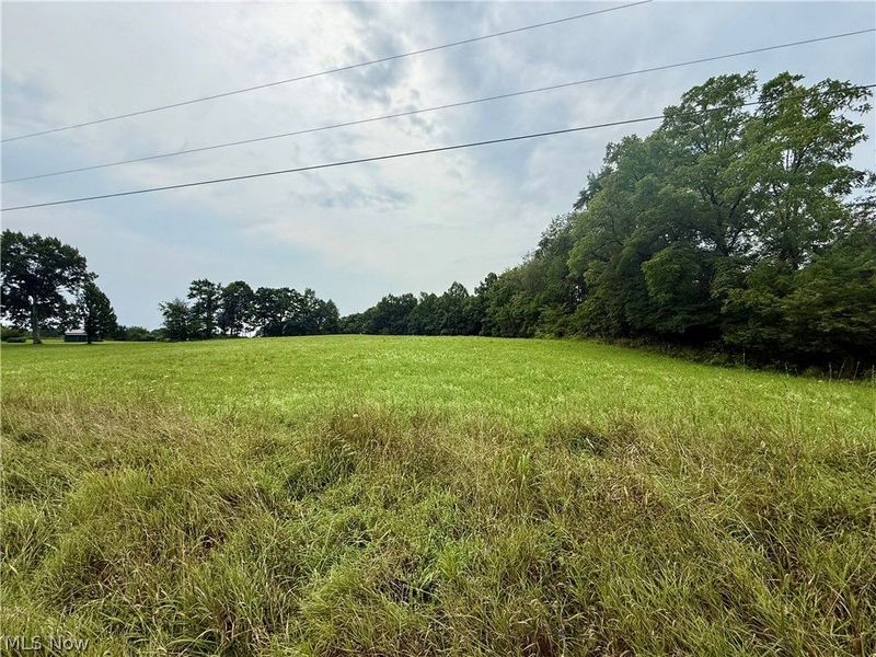 Cinder Road, Bergholz, OH 43908 Photo 3