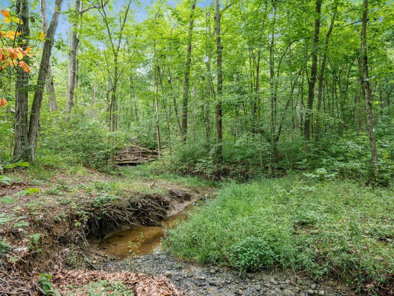 19780 Bear Swamp Road, Marysville, OH 43040 Photo 16