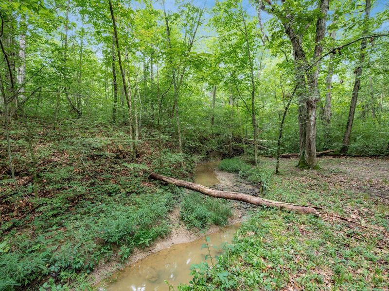 19780 Bear Swamp Road, Marysville, OH 43040 Photo 17