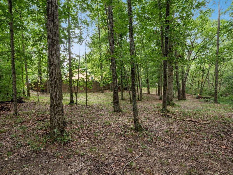 19780 Bear Swamp Road, Marysville, OH 43040 Photo 19