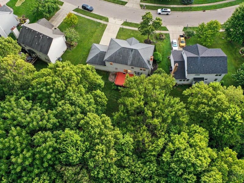 135 Cold Springs Court, Springboro, OH 45066 Photo 60