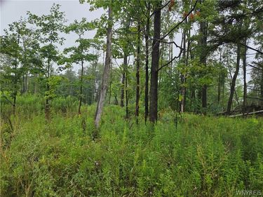 Lot 1 Darien Road, Colden, NY 14033