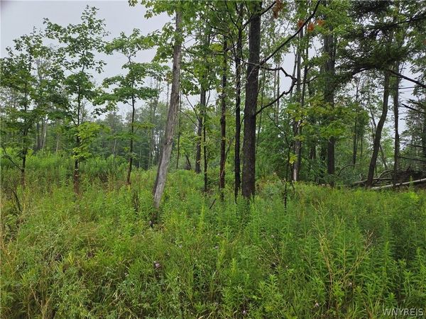 Lot 1 Darien Road, Colden, NY 14033
