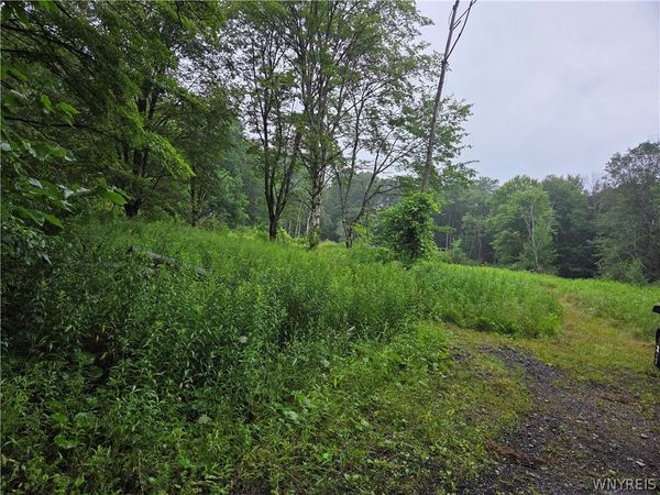 Warner Gulf Road , Holland, NY 14080
