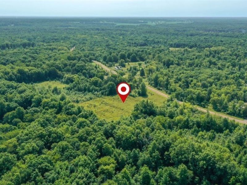 4523 Plank Road, Orwell, OH 44076 Photo 14
