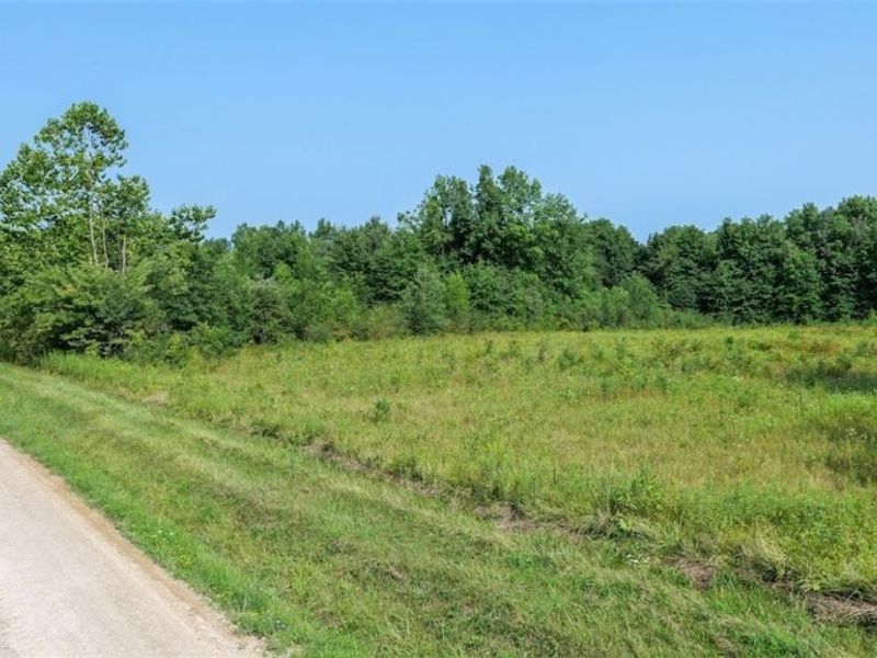4523 Plank Road, Orwell, OH 44076 Photo 2