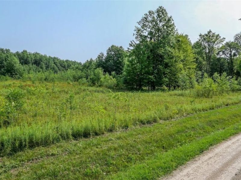 4523 Plank Road, Orwell, OH 44076 Photo 3