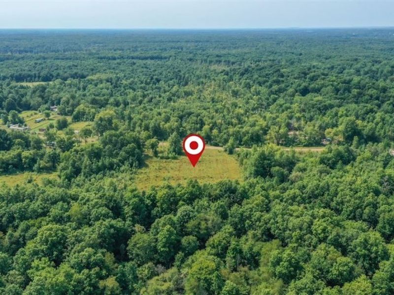4523 Plank Road, Orwell, OH 44076 Photo 9