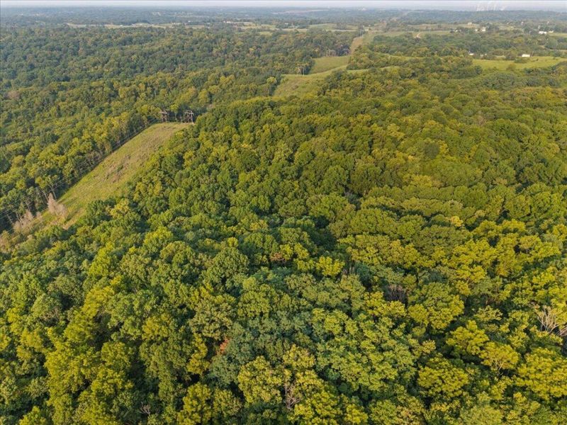 495 Winn Road, Sanders, KY 41083 Photo 10