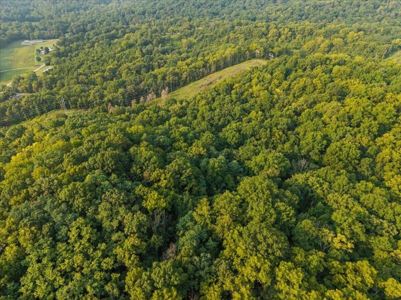 495 Winn Road, Sanders, KY 41083 Photo 11