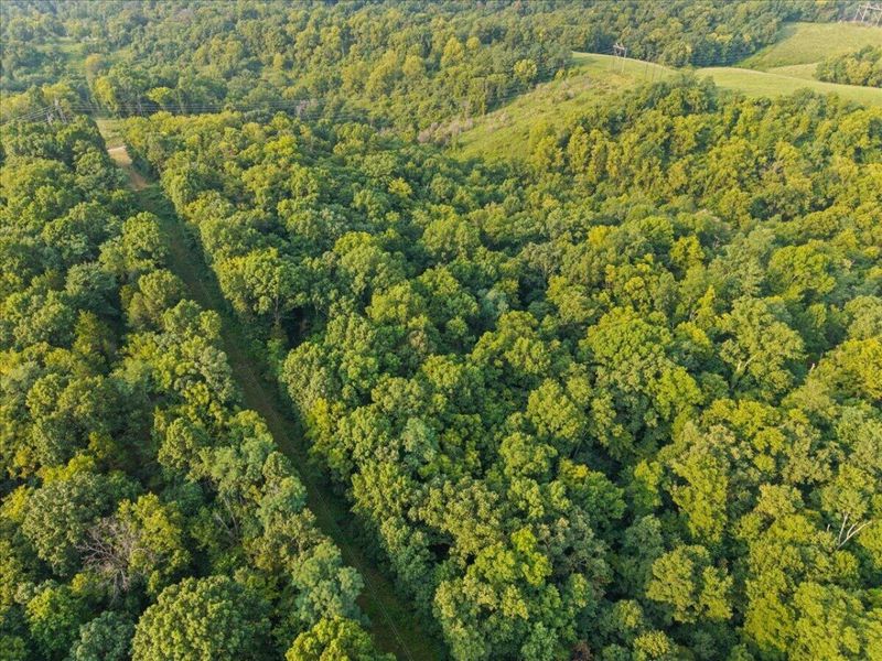495 Winn Road, Sanders, KY 41083 Photo 12